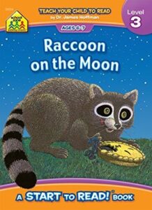 raccoon on the moon