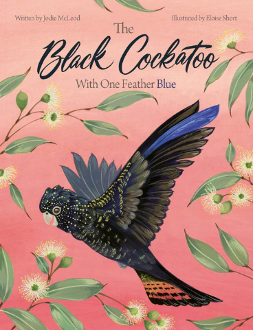 the black cockatoo with one feather blue