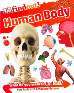 dk find out human body